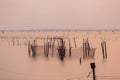 Wooden pier or jetty remains Royalty Free Stock Photo