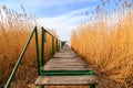 Wooden pier in tranquil lake Balaton Royalty Free Stock Photo