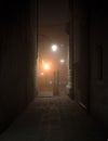 Wooden pier in Venice at night Royalty Free Stock Photo