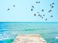 Wooden pier with view to blue sea and flock of pigeons