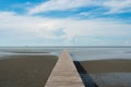 Wooden pier at wetlands in Samutsakorn, Thailand.