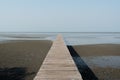 Wooden pier at wetlands in Samutsakorn, Thailand.