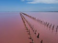 wooden piers in salt lake, wooden remains in pink lake Royalty Free Stock Photo