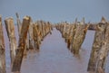 wooden piers in salt lake, wooden remains in pink lake Royalty Free Stock Photo