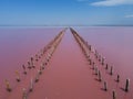 wooden piers in salt lake, wooden remains in pink lake Royalty Free Stock Photo