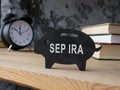 Wooden piggy bank with SEP IRA inscription on the side.