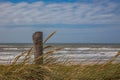 A wooden pile and marram grass on a dune close to the coast line of the north sea Royalty Free Stock Photo