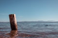 wooden pile washed by the waters of the lake