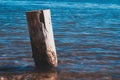 wooden pile washed by the waters of the lake