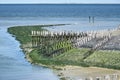 Wooden piles, basalt and Western Scheldt