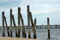 Wooden pillars by the Baltic Sea Royalty Free Stock Photo