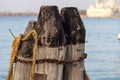 Wooden pillars with old rope and chain in sea at Venice dock. Royalty Free Stock Photo