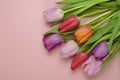 Wooden pink empty copy space background with colorful tulips Royalty Free Stock Photo