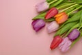 Wooden pink empty copy space background with pink tulips Royalty Free Stock Photo