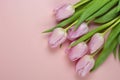 Wooden pink empty copy space background with pink tulips Royalty Free Stock Photo