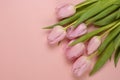 Wooden pink empty copy space background with pink tulips Royalty Free Stock Photo