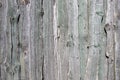 Wooden plank backgrounds