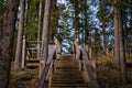 wooden plank bridge over water in forest Royalty Free Stock Photo