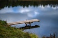 wooden plank bridge over water in forest Royalty Free Stock Photo