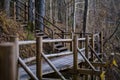 wooden plank bridge over water in forest Royalty Free Stock Photo