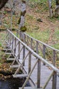 wooden plank bridge over water in forest Royalty Free Stock Photo