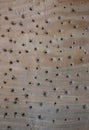 Wooden plank with dots. Old vintage background. Wood texture with holes Royalty Free Stock Photo