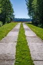 wooden plank footh path boardwalk in green foliage sourroundings Royalty Free Stock Photo