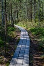 wooden plank footh path boardwalk in green foliage sourroundings Royalty Free Stock Photo