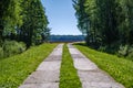 wooden plank footh path boardwalk in green foliage sourroundings Royalty Free Stock Photo