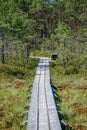 wooden plank footh path boardwalk in green foliage sourroundings Royalty Free Stock Photo