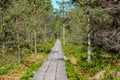 wooden plank footh path boardwalk in green foliage sourroundings Royalty Free Stock Photo