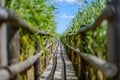 wooden plank footh path boardwalk in green foliage sourroundings Royalty Free Stock Photo