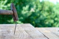 Wooden plank with a nail being hammered in focus on a blurred nature background Royalty Free Stock Photo