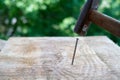 Wooden plank with nail and hammer in action and focus