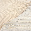 Wooden plank path