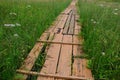 Wooden plank pathway acros peatland nature reserve in northern Slovakia, Orava region Royalty Free Stock Photo