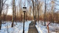 Wooden plank road in Wetland Park in winter