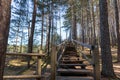 Wooden plank steps on a forest walking path Royalty Free Stock Photo