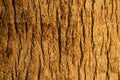 Wooden plank texture background