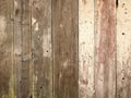 Wooden plank texture wall as a background Royalty Free Stock Photo