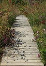 Wooden plank walkway in a landscaped park