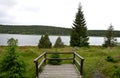 Wooden walkway in a nature reserve in a spruce forest in the mountains through a waterlogged peat bog, gray solid wood leads to Royalty Free Stock Photo