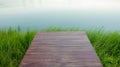 Wooden planks background with green grass on river Royalty Free Stock Photo