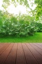 Textured wooden platform with trees background.