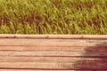 Wooden planks floor with summer mountain landscape rice field green environment holiday background vintage tone Royalty Free Stock Photo