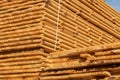 Wooden planks at lumber warehouse. Woodworking industry. Wooden boards