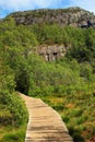 Wooden planks road across marshy ground Royalty Free Stock Photo