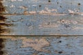 Wooden planks with traces of light blue paint, wood textures backgrounds Royalty Free Stock Photo