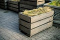 Wooden plant pot for grass on paving stones background with vintage effect