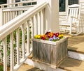 Wooden planter with pansies on stairway, Spring